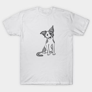 Sketch Funny dog Border Collie T-Shirt